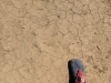Scorched desert soil